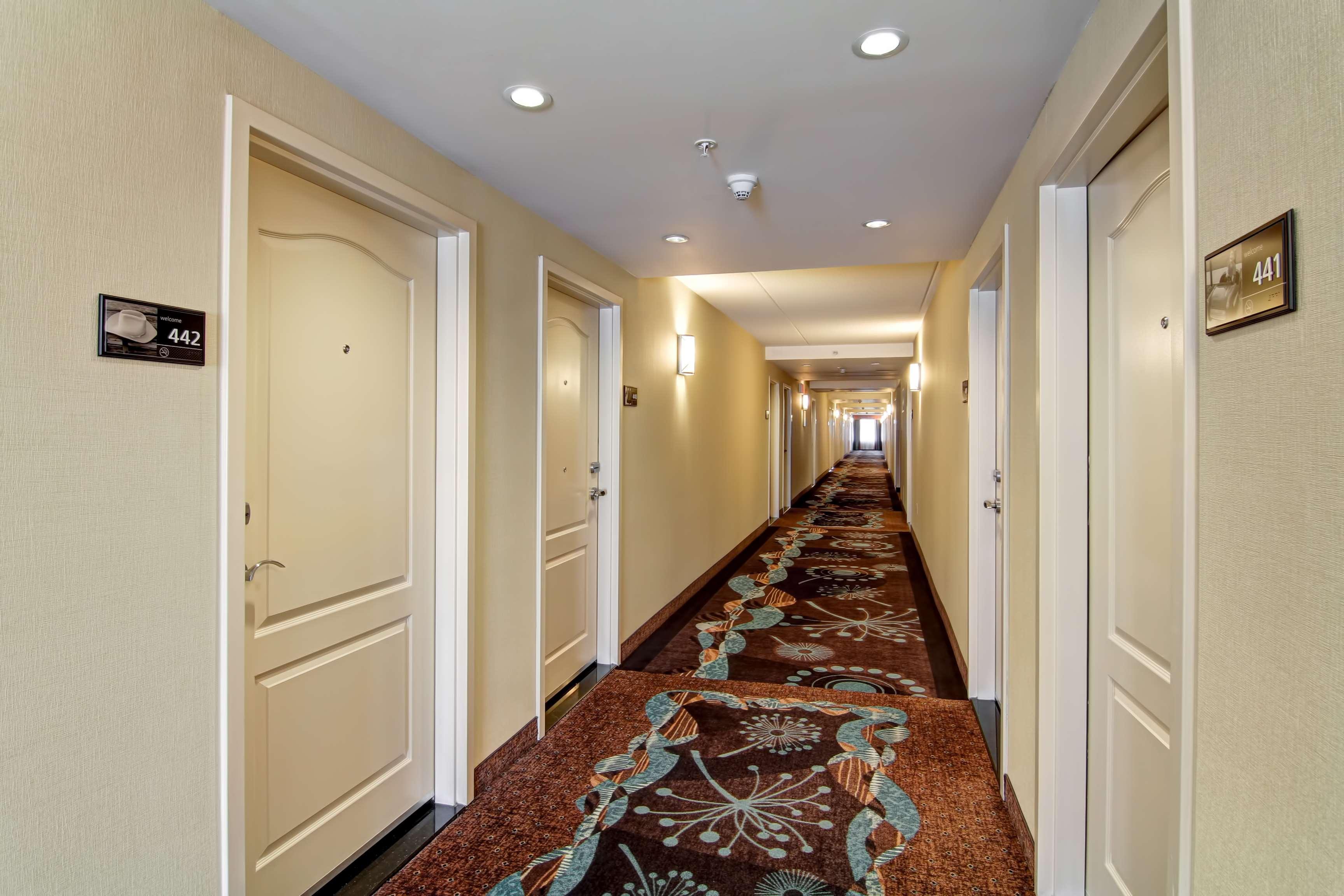 Hampton Inn By Hilton Toronto Airport Corporate Centre Eksteriør billede